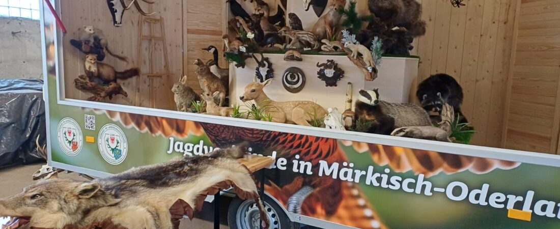 Unser Lernort-Natur-Mobil ist einsatzbereit! 🚙🌿