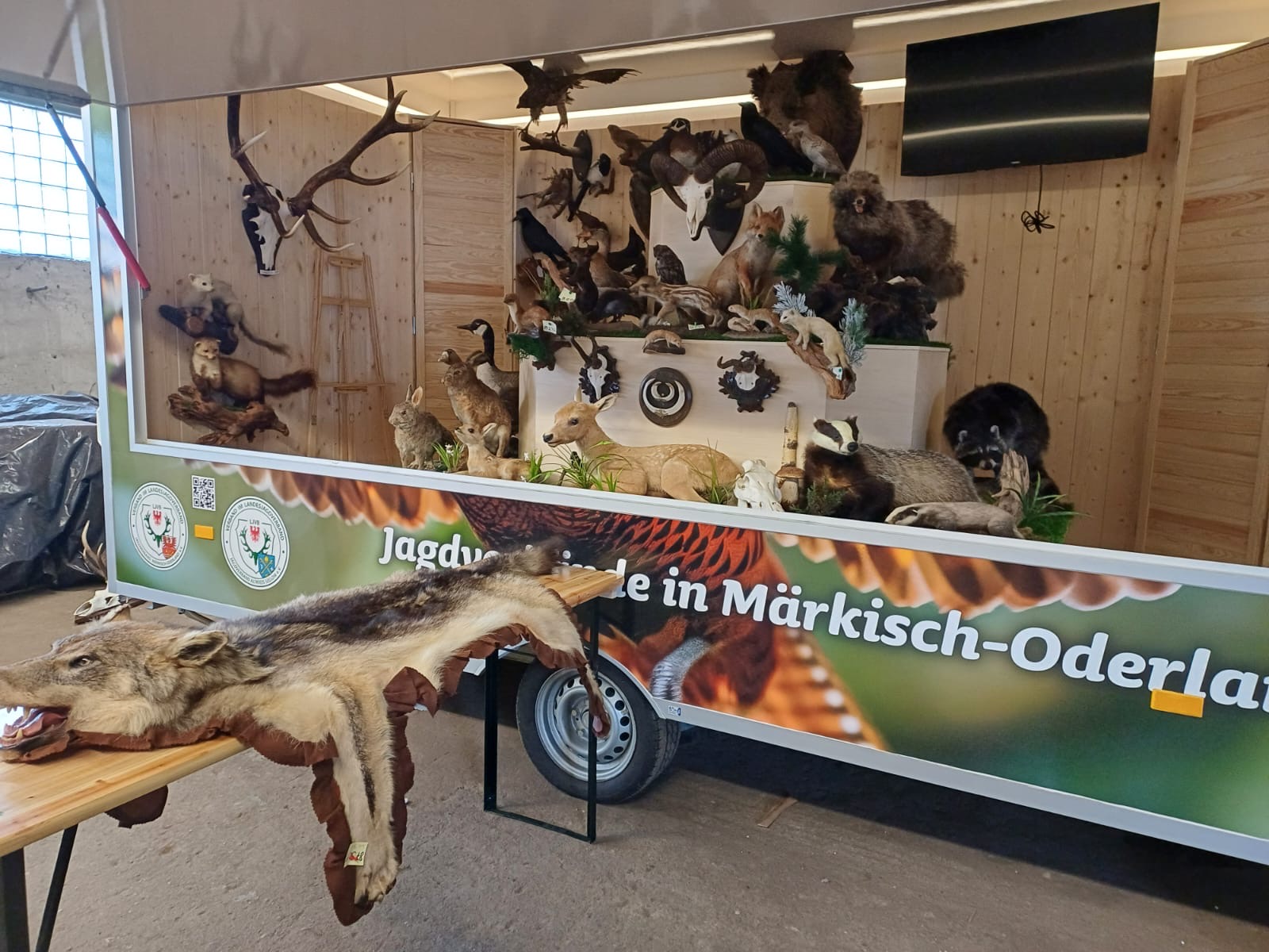 Unser Lernort-Natur-Mobil ist einsatzbereit! 🚙🌿